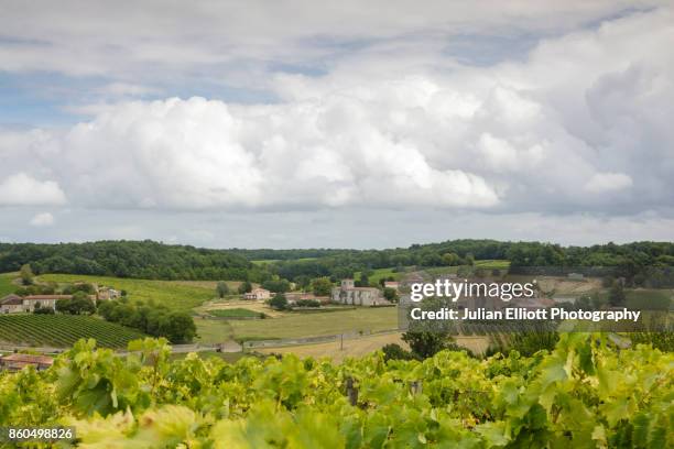 vineyards near to the village of saint preuil in cognac, france. - charente fotografías e imágenes de stock