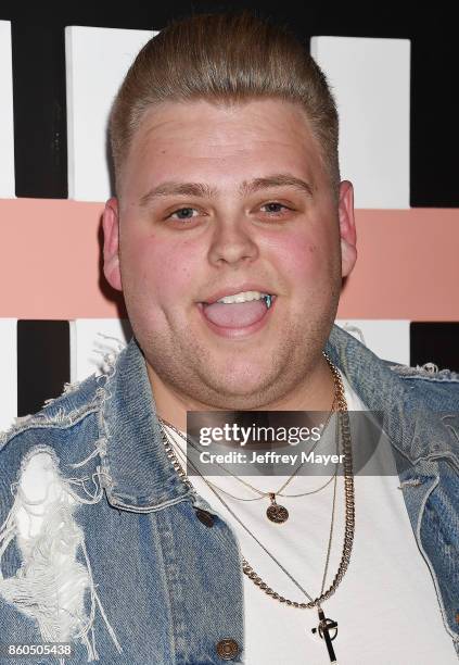 YouTuber Nick Crompton arrives at the Premiere Of YouTube's 'Demi Lovato: Simply Complicated' at the Fonda Theatre on October 11, 2017 in Los...