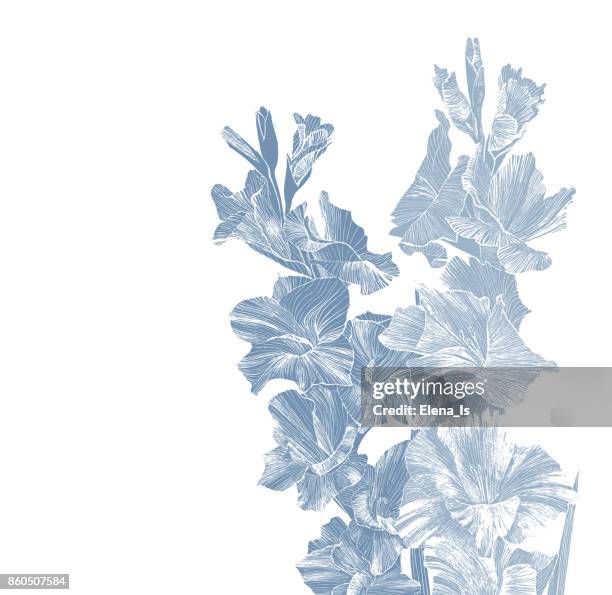 45点のグラジオラスイラスト素材 Getty Images 45点のグラジオラスイラスト素材 Getty Images