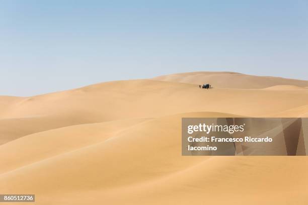 namib desert, sandwich harbour bay sand dunes, namibia, africa - iacomino namibia stock pictures, royalty-free photos & images