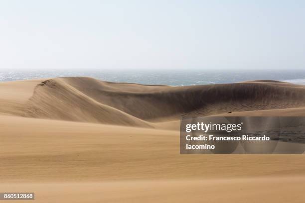 namib desert, sandwich harbour bay sand dunes, namibia, africa - iacomino namibia stock pictures, royalty-free photos & images