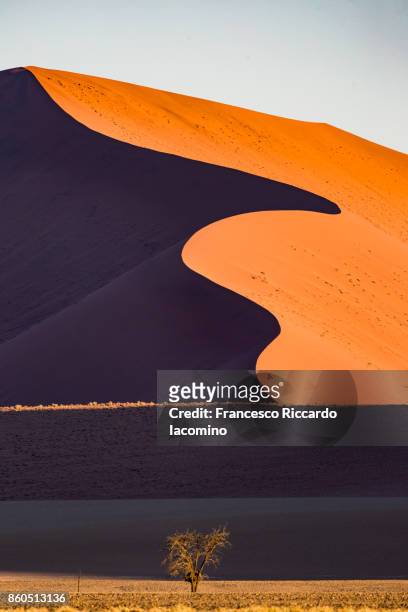 namib desert, sossusvlei sand dunes, namibia, africa - dead vlei namibia ストックフォトと画像