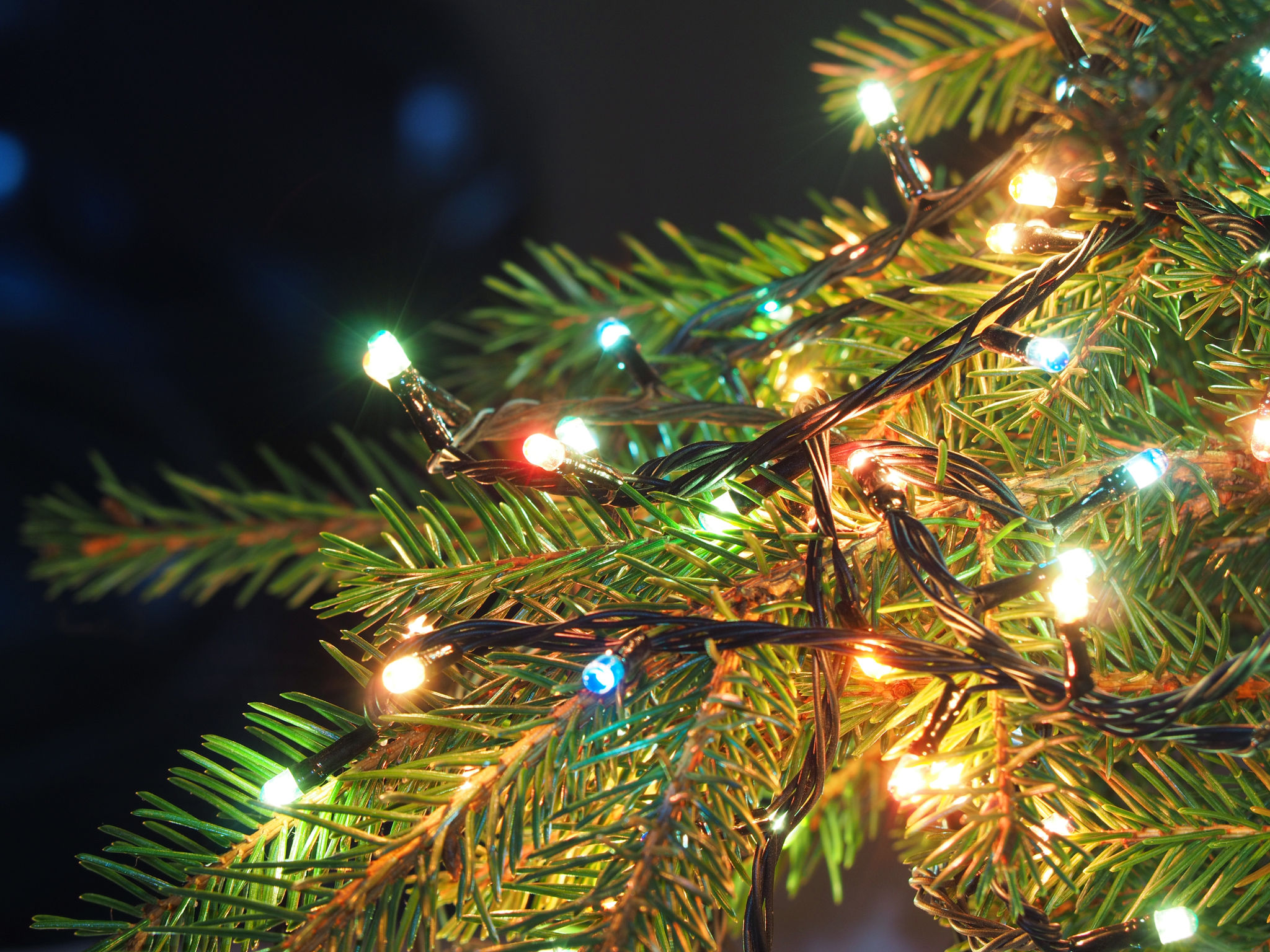 led christmas lights