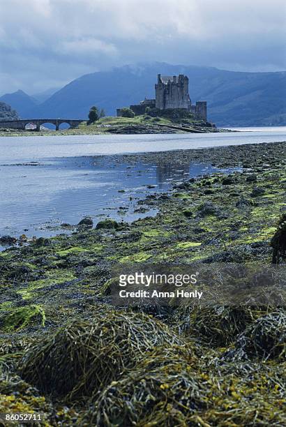 gloomy castle and wetlands, loch duich, scotland - eilean donan castle stock-fotos und bilder