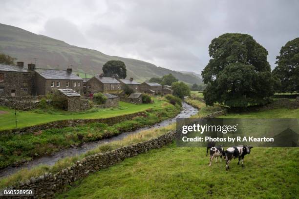 wet day in thwaite, upper swaledale, yorkshire dales - pennines stockfoto's en -beelden