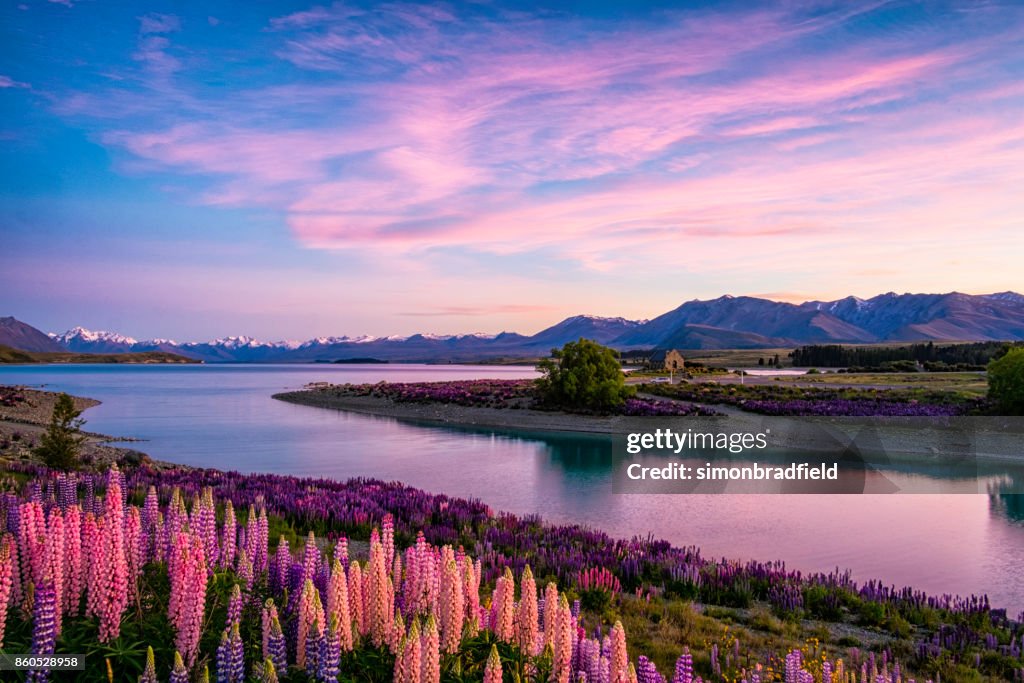 Lake Tekapo bij dageraad, Nieuw-Zeeland Zuid eiland