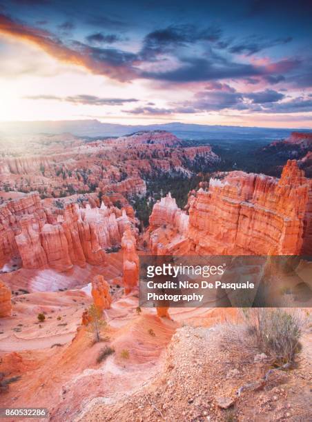 bryce canyon national park - unesco world heritage site stock pictures, royalty-free photos & images