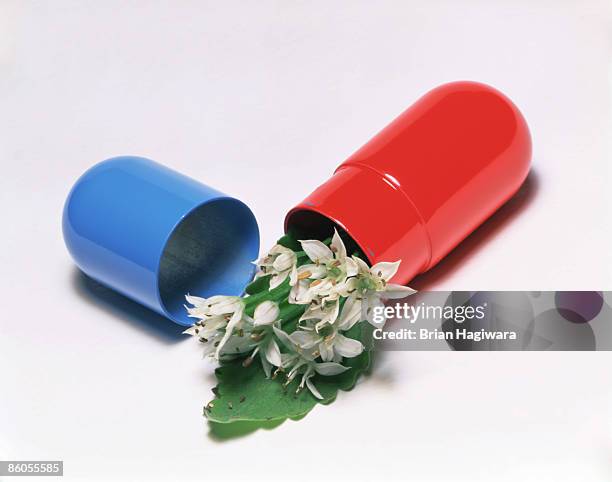 pill capsule with herbs - holistic medicine stock pictures, royalty-free photos & images