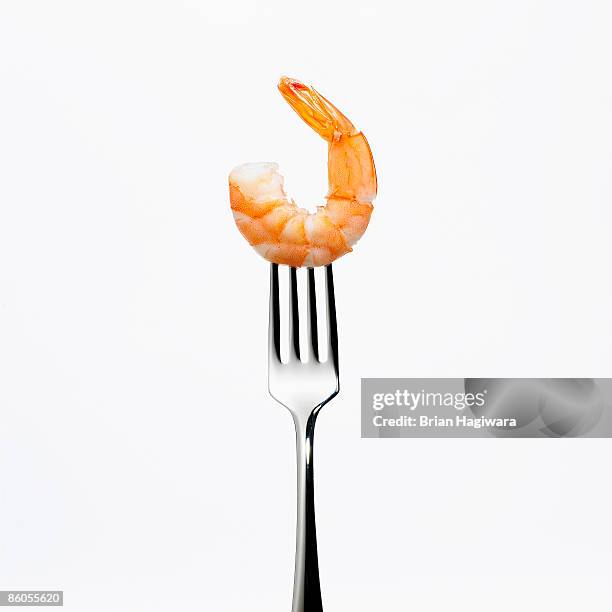 shrimp on a fork - garnaal vis en zeevruchten stockfoto's en -beelden