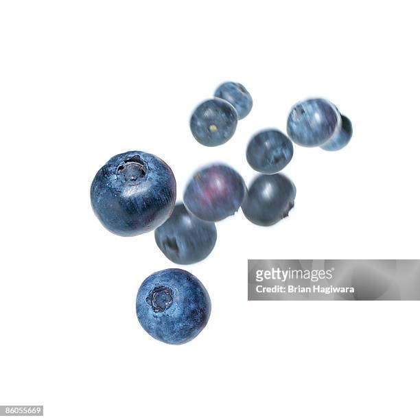 blueberries - bes stockfoto's en -beelden