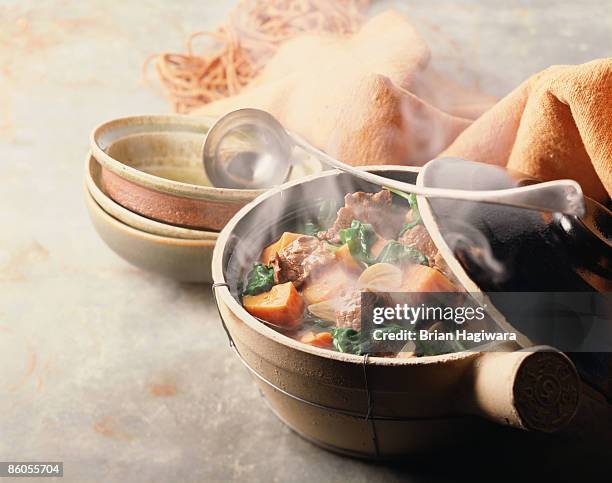 vegetable beef hot pot - stew pot imagens e fotografias de stock