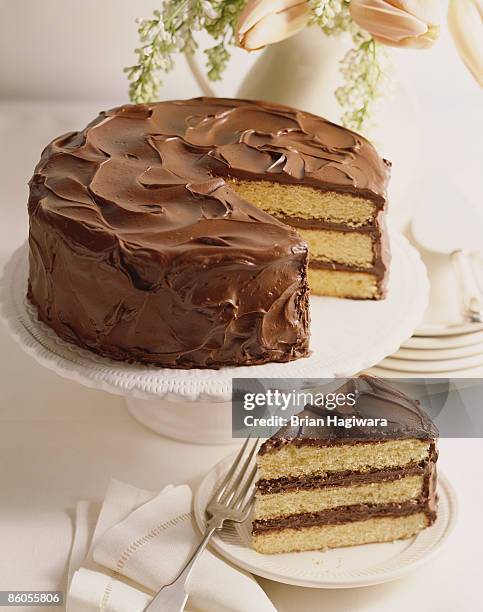 old fashioned layer cake with chocolate frosting - gateaux stockfoto's en -beelden