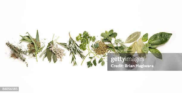 various herbs - herbs stock-fotos und bilder