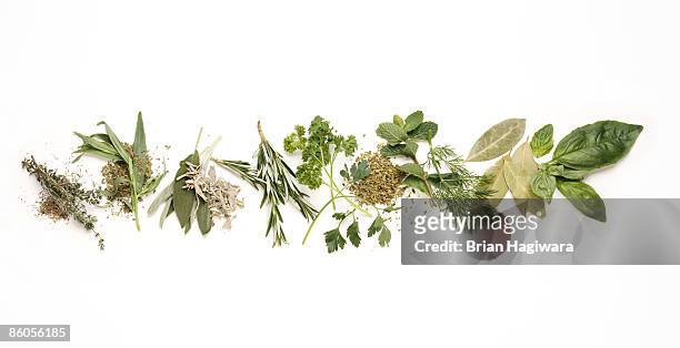 various herbs - herb stock pictures, royalty-free photos & images