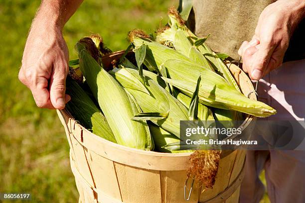 Bushel Visual Bushel Of Corn Photos and Premium High Res Pictures - Getty Images
