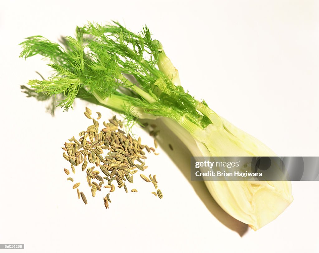 Fennel bulb and seeds