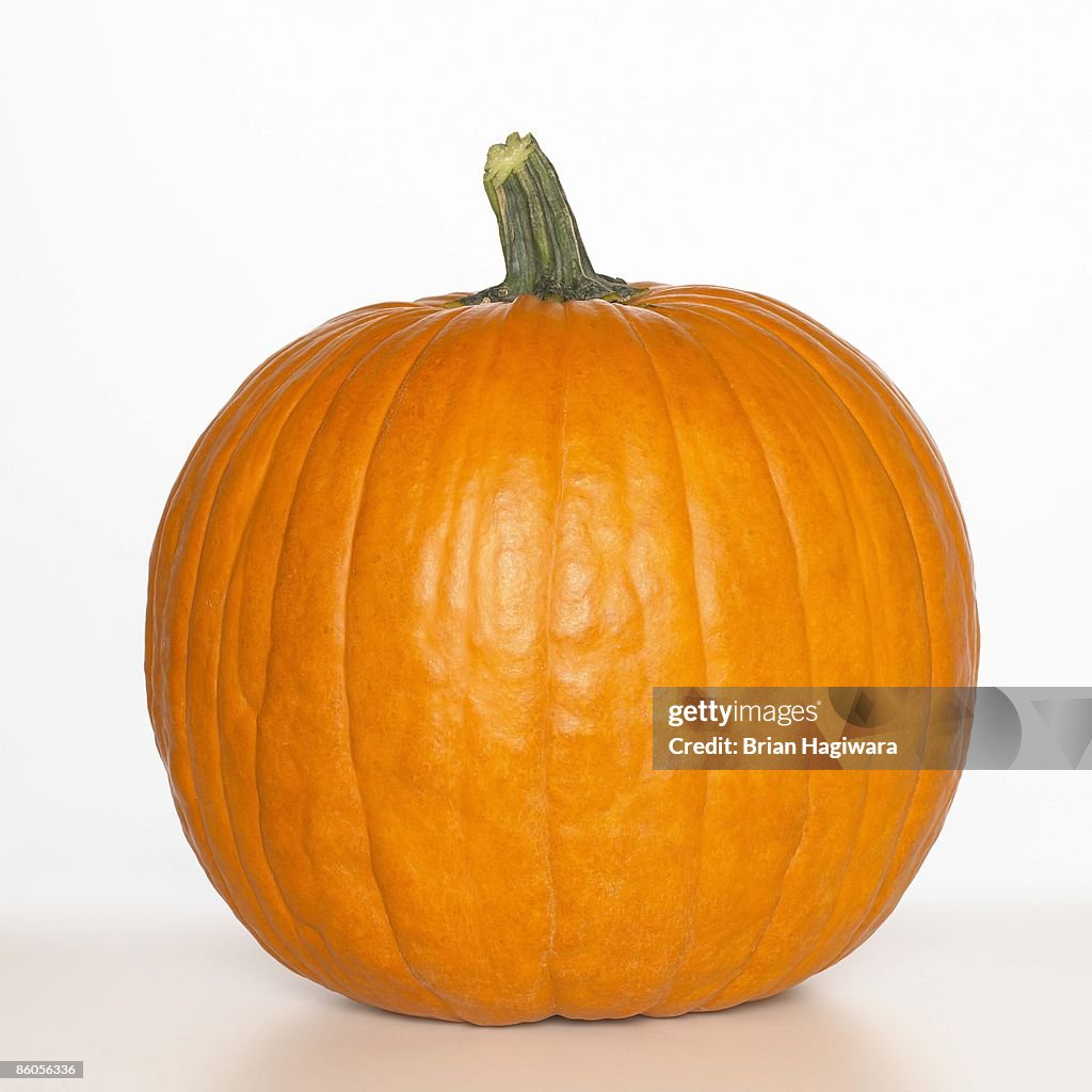Pumpkin