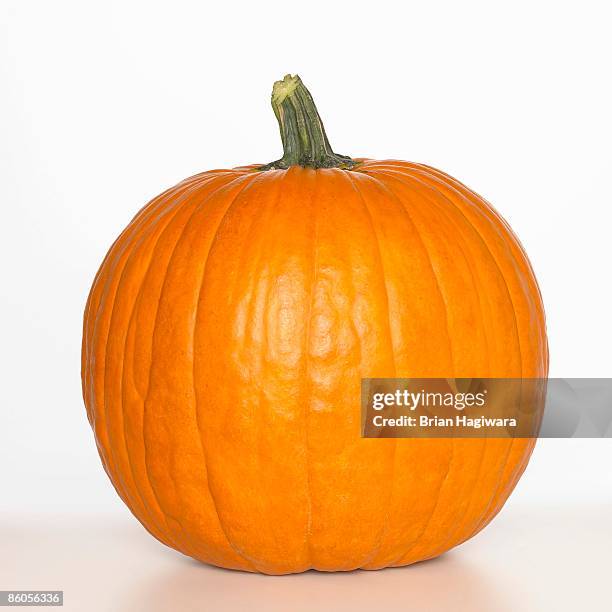 pumpkin - gourd family stock pictures, royalty-free photos & images