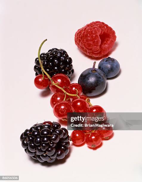 berry assortment - grosella fotografías e imágenes de stock