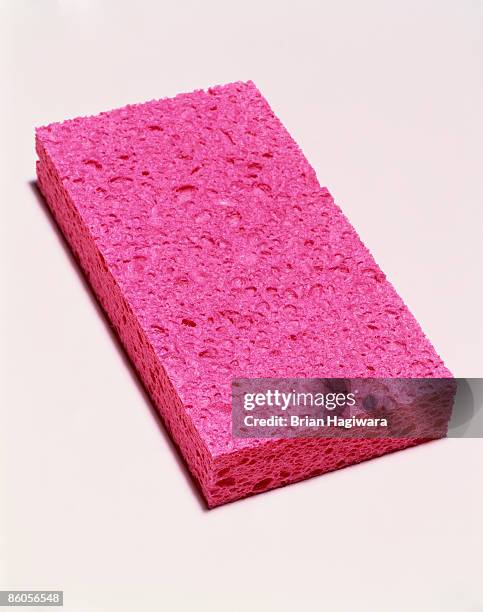 sponge - cleaning sponge stock pictures, royalty-free photos & images