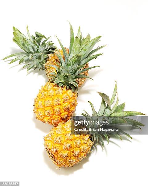 miniature pineapples on white - pineapple stock pictures, royalty-free photos & images