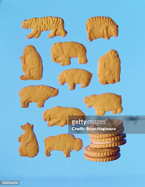 54 Animal Cracker Photos and Premium High Res Pictures - Getty Images