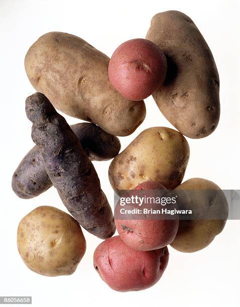 assortment of potatoes - nieuwe aardappel stockfoto's en -beelden