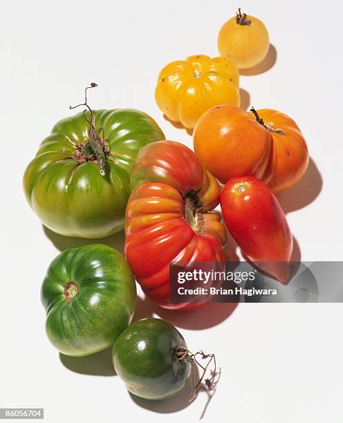 non-hybridized heirloom tomatoes - tomaten stock-fotos und bilder