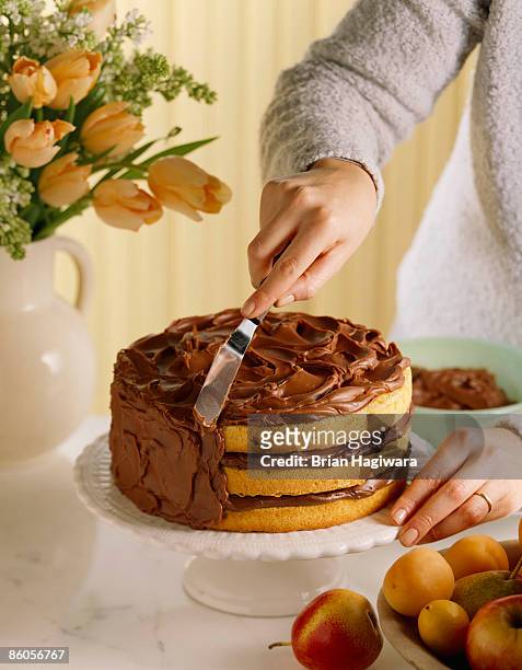 person icing layer cake - fondant cakes fotografías e imágenes de stock
