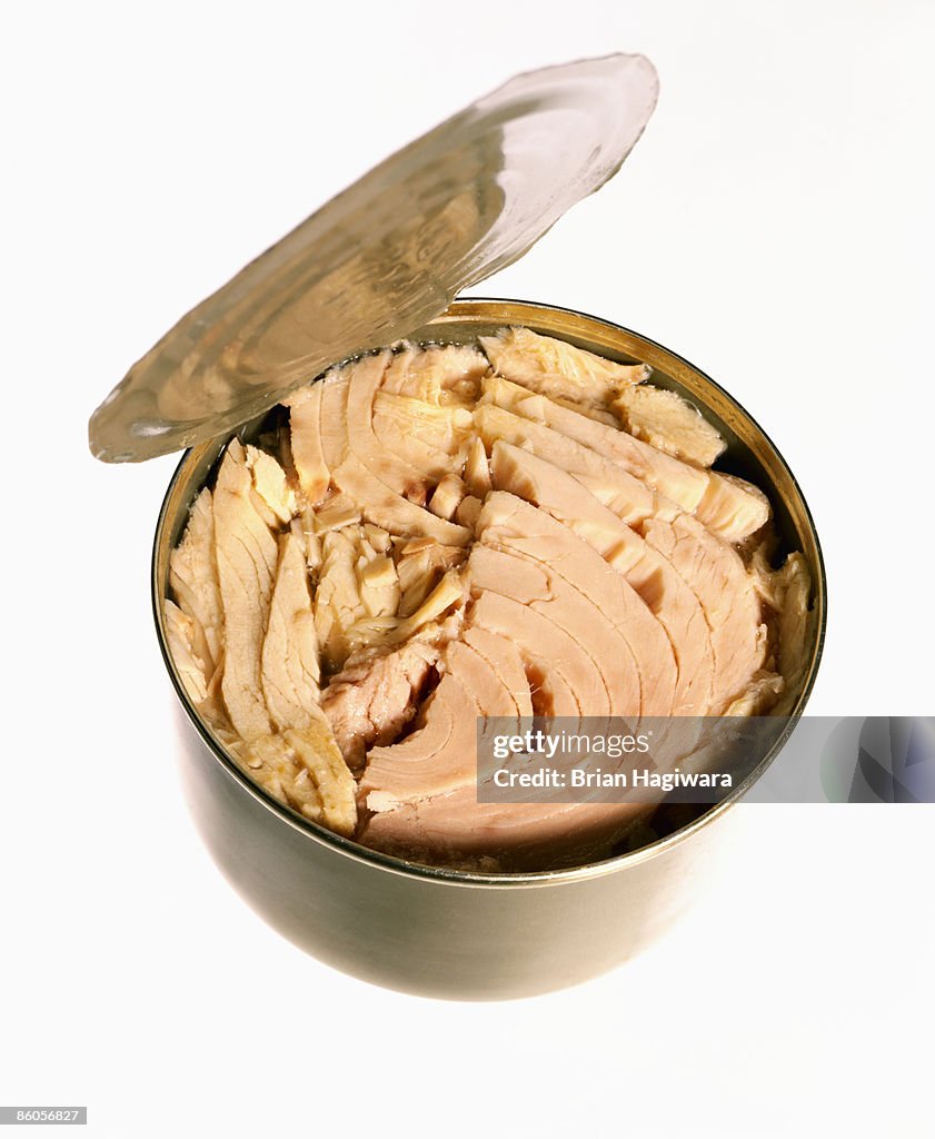 Can of tuna with open lid