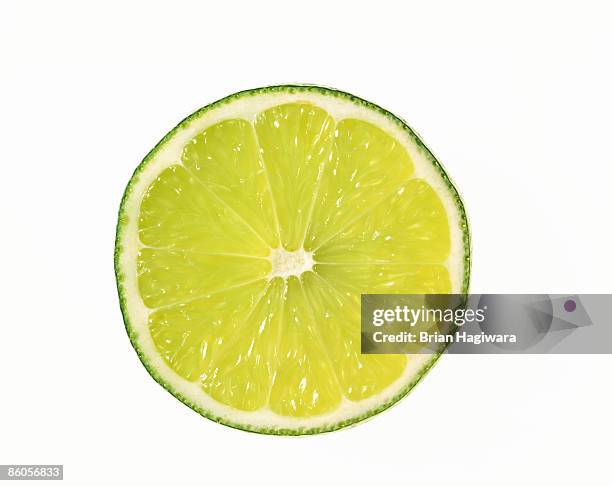 close-up of lime slice - corte transversal imagens e fotografias de stock