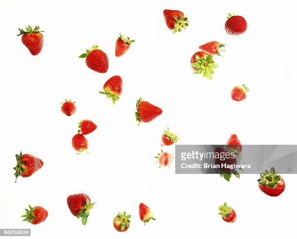 falling strawberries - fraises fond blanc photos et images de collection