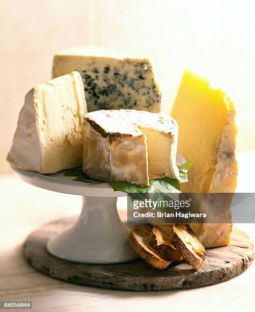 french cheese assortment - cheese platter stock pictures, royalty-free photos & images