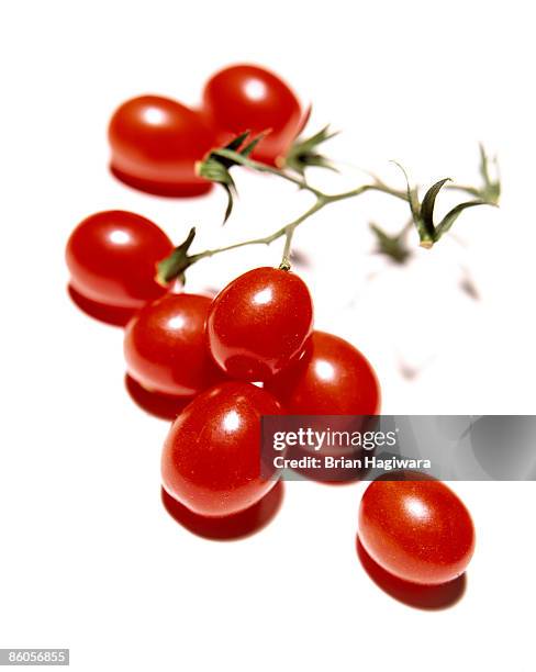 cherry tomatoes - tomate cerise photos et images de collection
