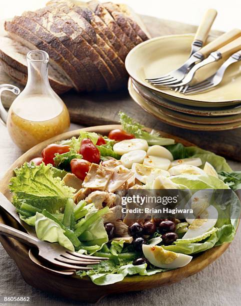 bowl of salad nicoise - vinaigrette dressing imagens e fotografias de stock