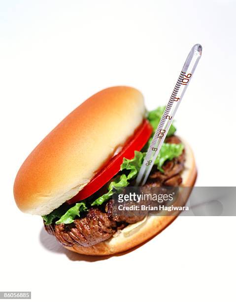 thermometer checking temperature of hamburger - food borne illness stock pictures, royalty-free photos & images