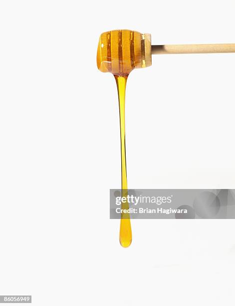 honey falling off honey dipper - honey stock pictures, royalty-free photos & images