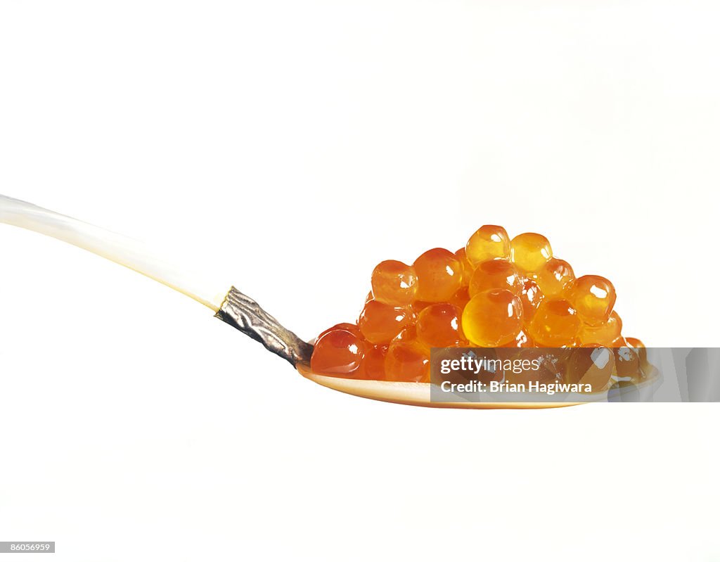 Salmon caviar on spoon