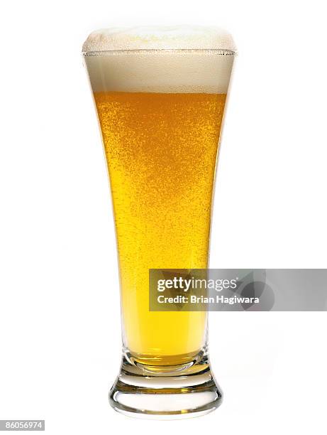 pilsner glass of beer - drinking glass isolated stock pictures, royalty-free photos & images