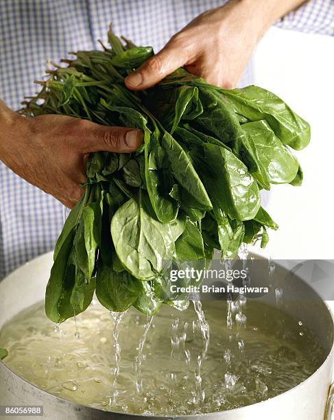 person rinsing spinach leaves - spinach 個照片及圖片檔