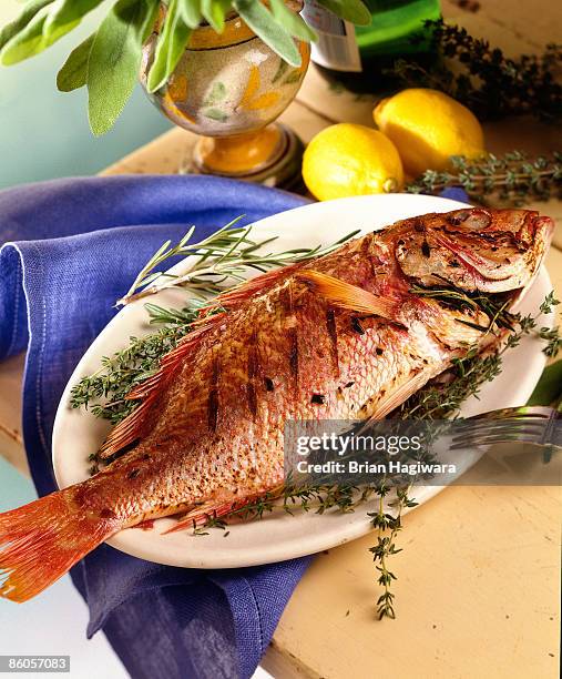 grilled snapper stuffed with thyme and rosemary - snapper fish stock pictures, royalty-free photos & images