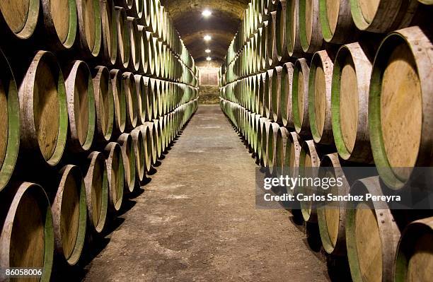 wine cellar - winery fotografías e imágenes de stock