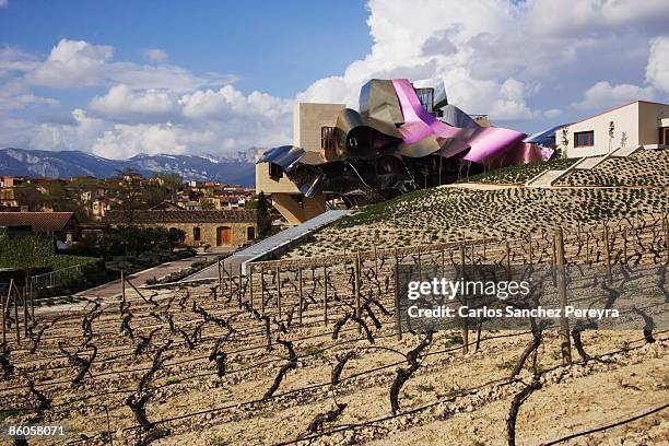 hotel marques de riscal in rioja, spain - rioja stock-fotos und bilder