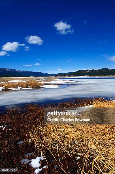 mogollon lake , apache-sitgreaves national forest , new mexico , usa - bowman lake stock pictures, royalty-free photos & images