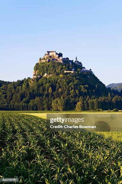 hochosterwitz castle on mountaintop - hochosterwitz castle stock pictures, royalty-free photos & images