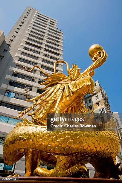 golden dragon in happy valley, hong kong, china - happy valley stock pictures, royalty-free photos & images