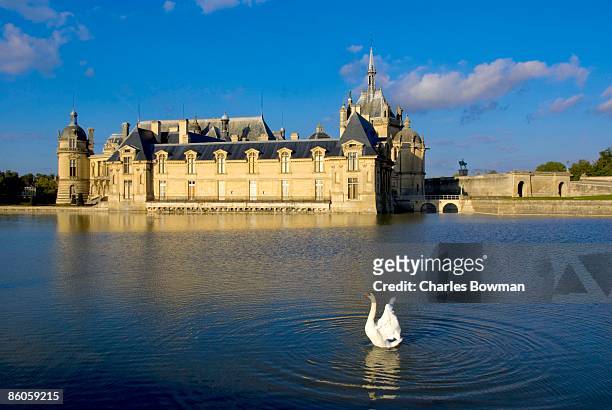 swan in lake by chateau de chantilly, picardie, france - castle france stock-fotos und bilder