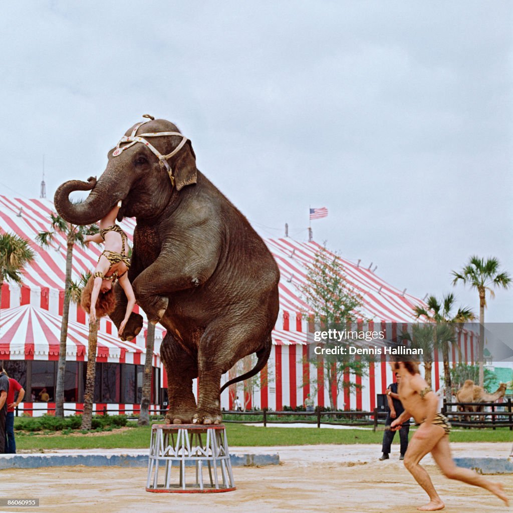 Circus elephant and performers