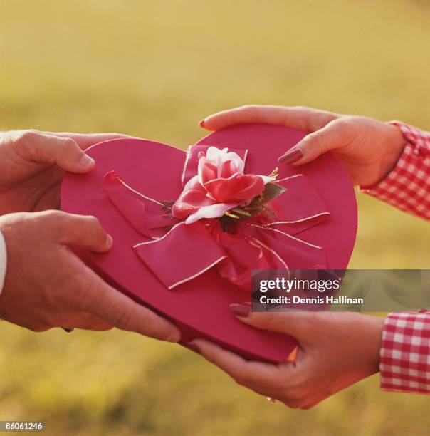Box Human Shape Human Shaped Package Photos and Premium High Res Pictures - Getty Images
