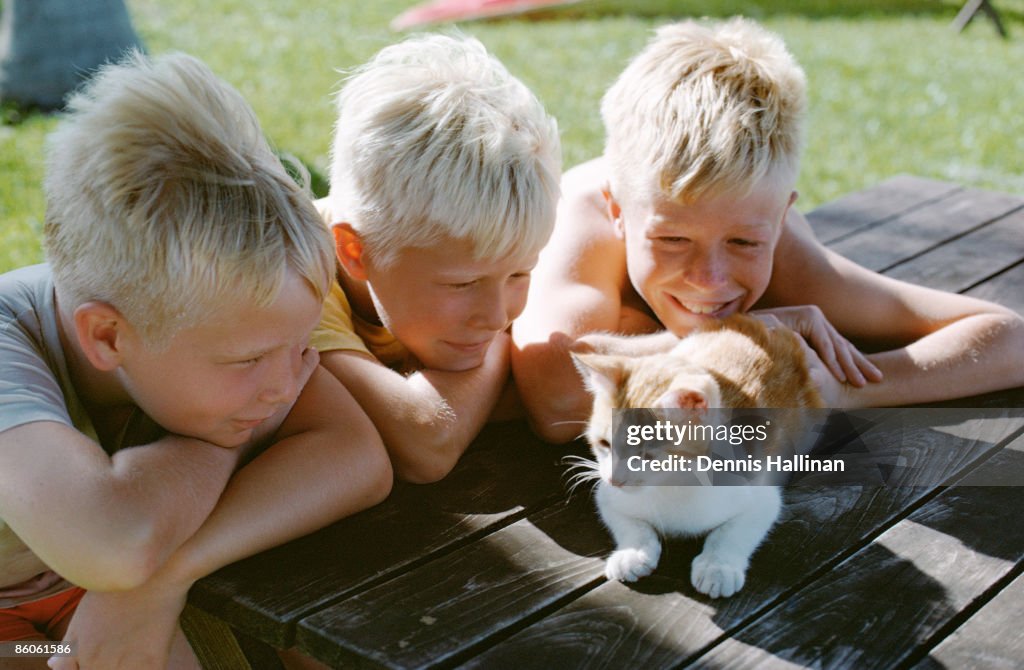 Smiling boys looking at kitten